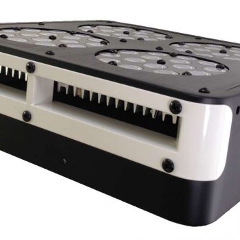 ORTOLED 4  growlux 140 watt - immagine 2