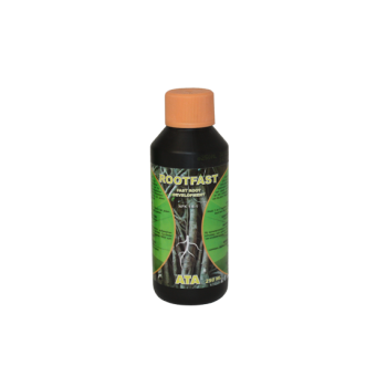ATA ROOTFAST 1 l Atami B'Cuzz