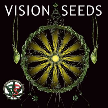 Vision Seeds Femminizzata 5 semi