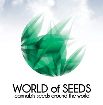 World of Seeds Femminizzata 3 semi