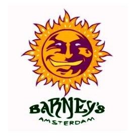 Barney's Farm Femminizzata 5 semi