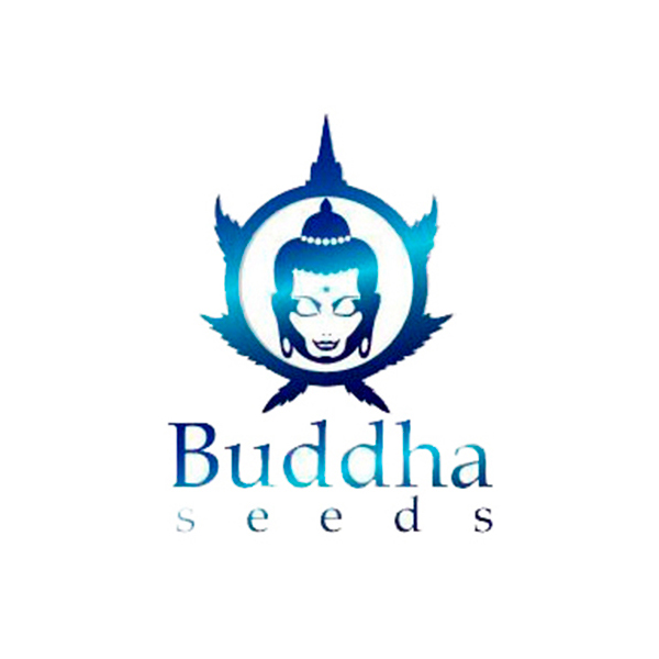 Buddha Seeds