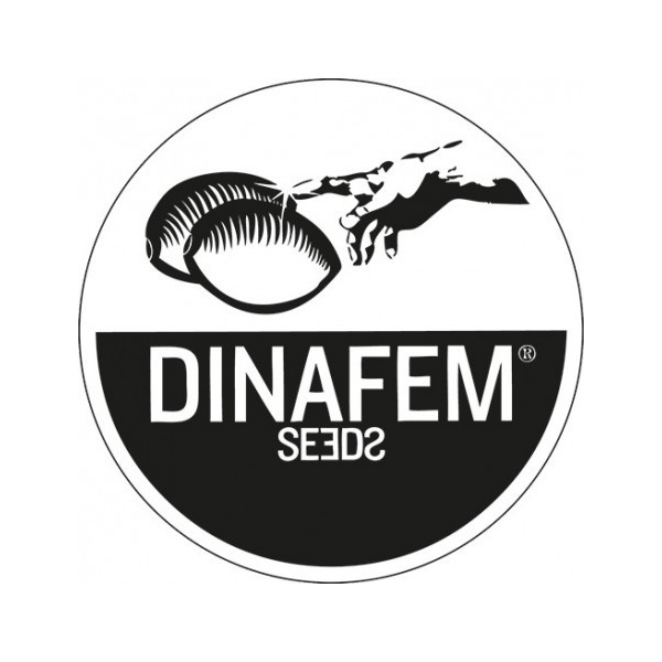 Dinafem