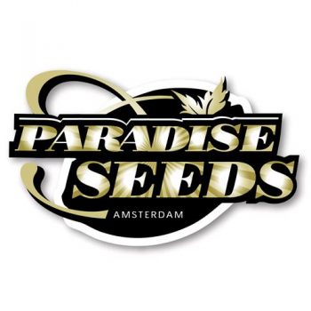 Paradise Seeds Femminizzata 5 semi