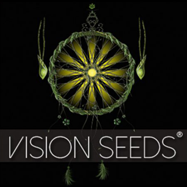 Vision Seeds