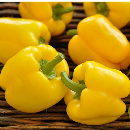 Перец калифорнийское чудо семена аэлита. Перец калифорнийское чудо желтое. Перец сладкий калифорнийское чудо. Перец калифорнийское чудо желтое аэлита. Перец калифорнийское чудо желтое.