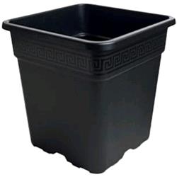 Vasi in plastica