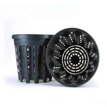 VASO ERCOLE 5LT - ANTISPIRALIZZAZIONE