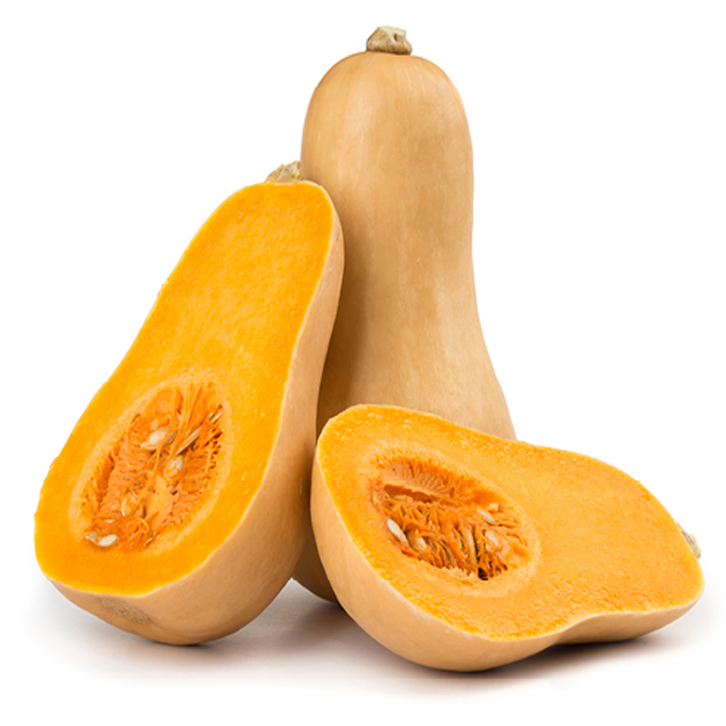 ZUCCA BUTTERNUT 2 gr. semi Arcoiris Santaplanta Grow Shop
