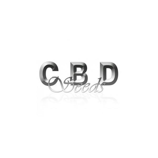 CBD Seeds