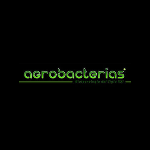 Agrobacterias