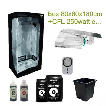 KIT 250W CFL + BOX 80x80x180