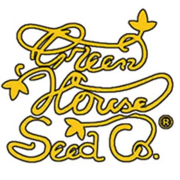 Green house Seeds Femminizzata 1 seme