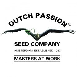 Dutch Passion