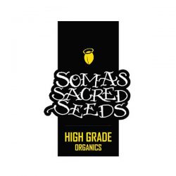 Soma's sacred seeds