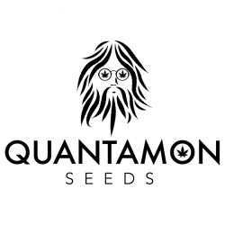 Quantamon Seeds