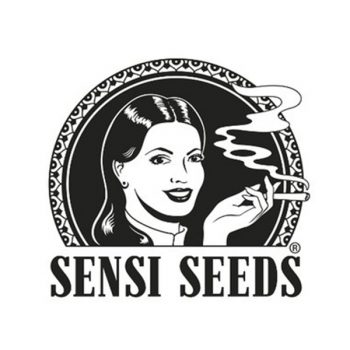 Sensi Seeds Femminizati 1 seme