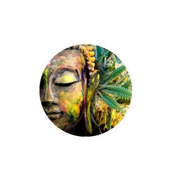 SCATOLINA Click clack -Buddha foglia