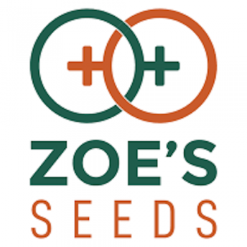 Zoe' Seeds Femminizzata 1 seme