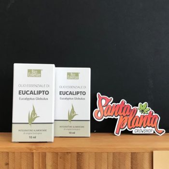 Olio Essenziale biologico - Eucalipto 10 ml