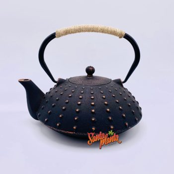 Teiera Ghisa Nera 1