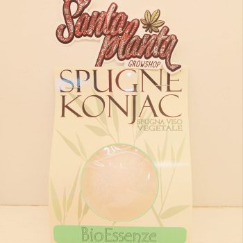 SPUGNA DI KONJAC BIANCA - pulizia viso