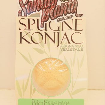 SPUGNA DI KONJAC ARANCIO- pulizia viso