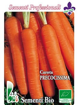 Carota Precocissima Bioseme