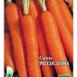 Carota Precocissima Bioseme