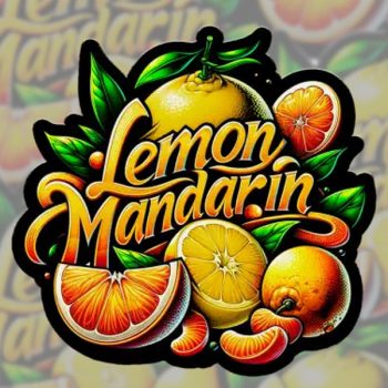 Lemon Mandarin 3 U Fem Fastbuds Seeds
