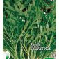 Rucola Selvatica Bioseme