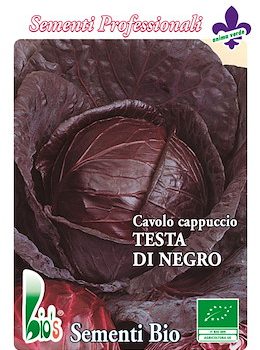 Cavolo Cappuccio Rosso