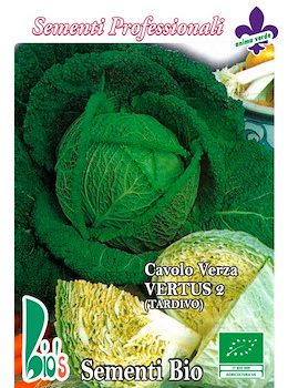 Cavolo Verza Tardivo