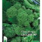 Cima Di Rapa Leccese