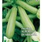 Zucchino Di Sarzana Bioseme