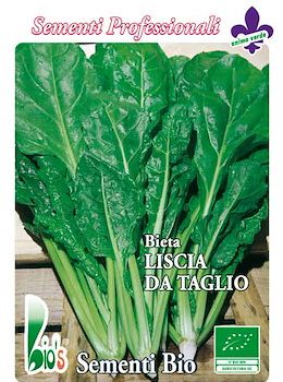 Bietola Liscia Da Taglio