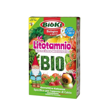 Litotamnio