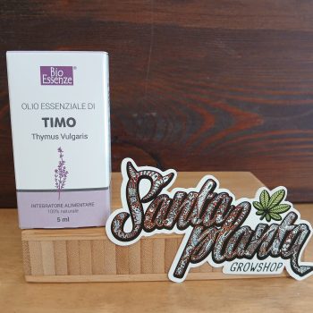 Timo Olio Essenziale