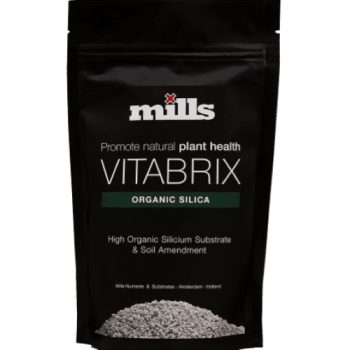 Vitabrix Silicio Organico