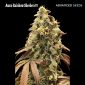 Auto Ranbow Sherbet #11 Advanced Auto