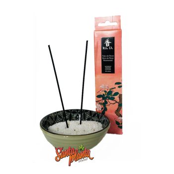 Idea Regalo Ciotolino E Incenso Giapponese Rosa