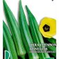Okra Bioseme
