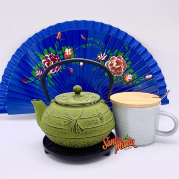 Teiera Verde E Tazza Grey