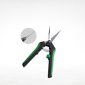 Platinum Bonsai Forbici Curve