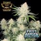 Frost Banger Auto Fast Bud