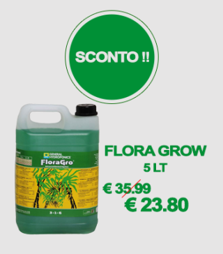 BOX SCONTO ghe grow